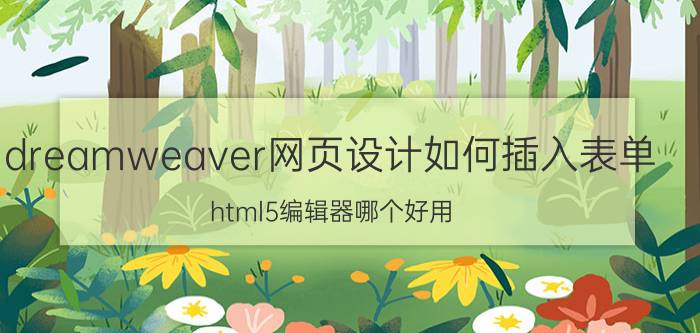 dreamweaver网页设计如何插入表单 html5编辑器哪个好用？